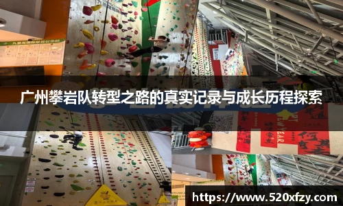 球速体育平台