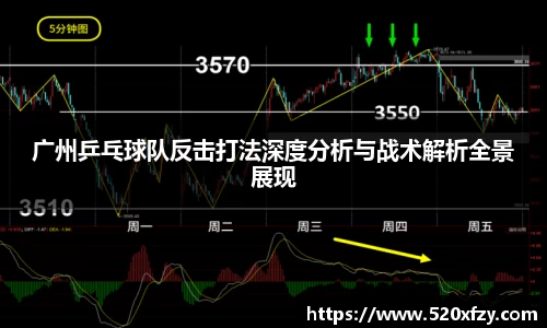 球速体育
