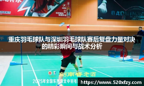 球速体育官网