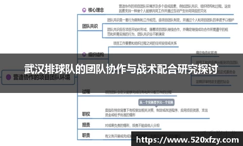 球速体育平台
