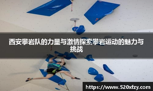 球速体育平台