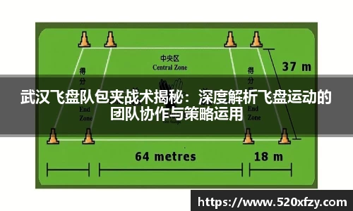 球速体育APP